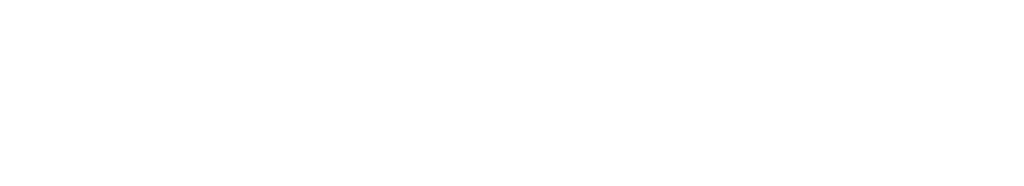 ACE SERVE